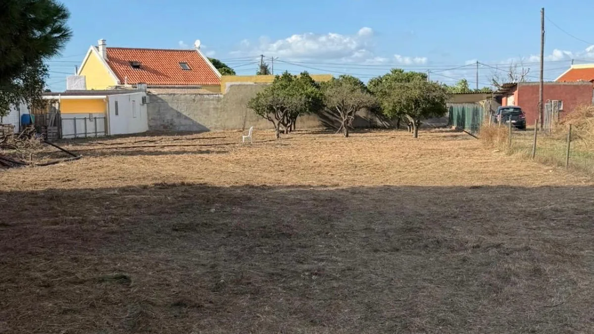 Limpeza de terrenos pela Soares Jardins em Almada