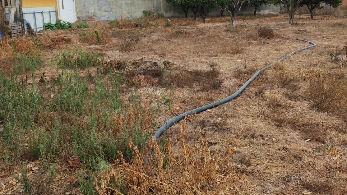 Soares Jardins — Sistemas de Rega em Almada e Lisboa